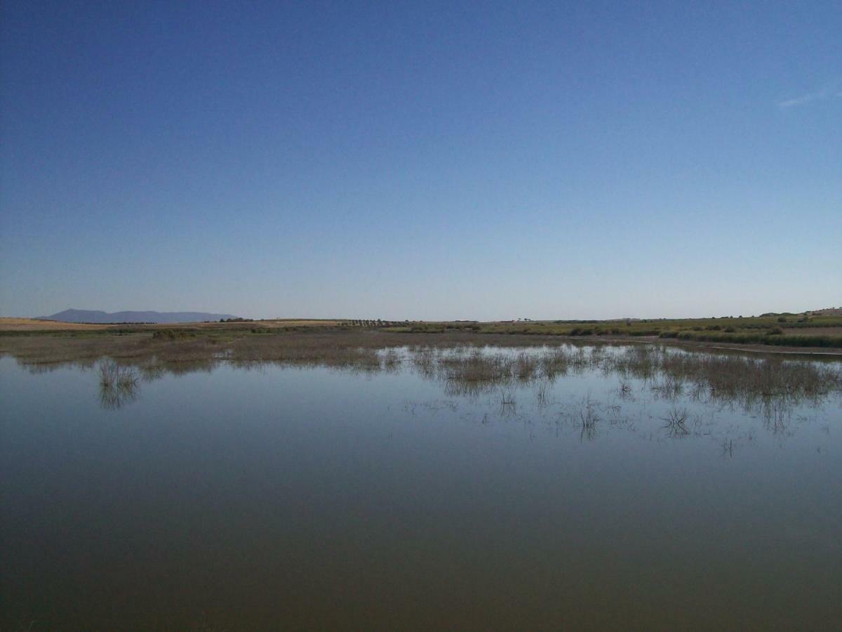 El Labriego, Casa Rural Fuente el Fresno Εξωτερικό φωτογραφία
